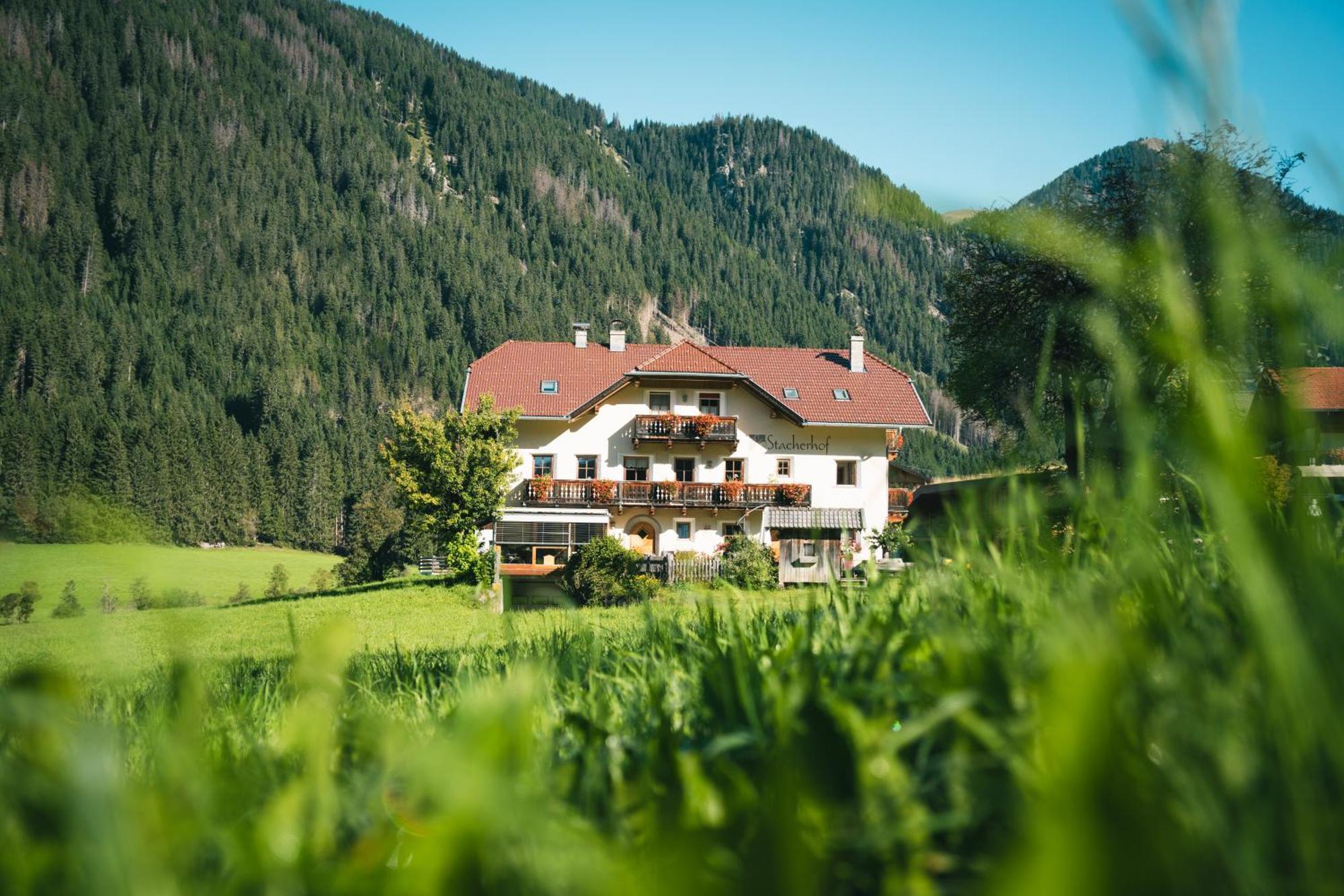 Stacherhof Apartment